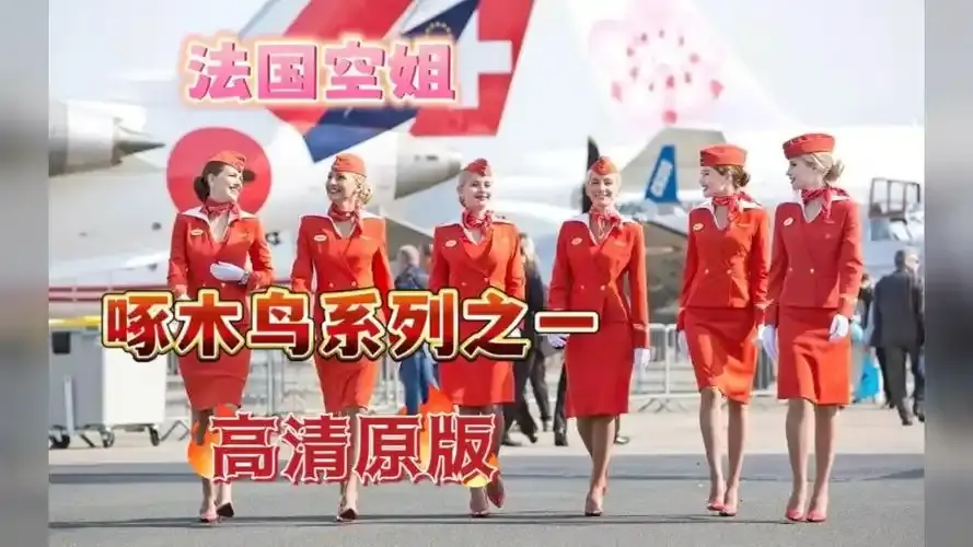 《法国空姐4》资源下载-法国空姐4完整版超高清在线观看-无卡顿4K画质畅享全季