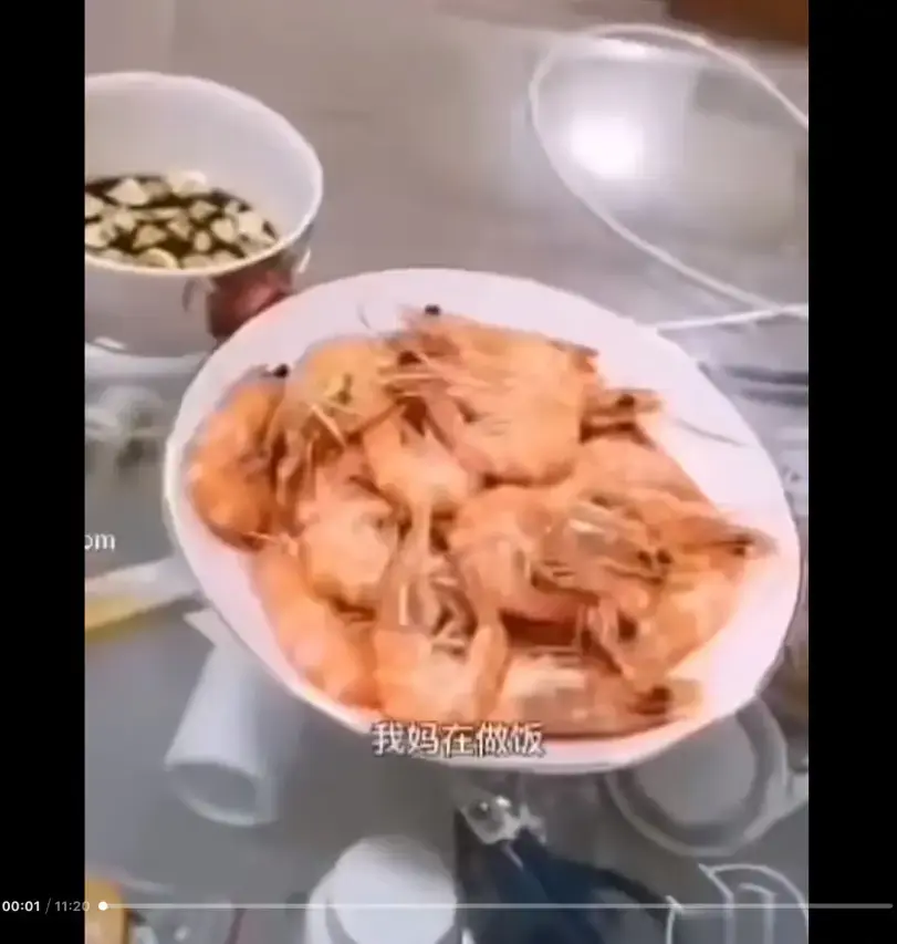 《大虾母子厨房完整版》梗揭秘与高清观看-网盘资源免费在线看-猎奇视频来龙去脉解析
